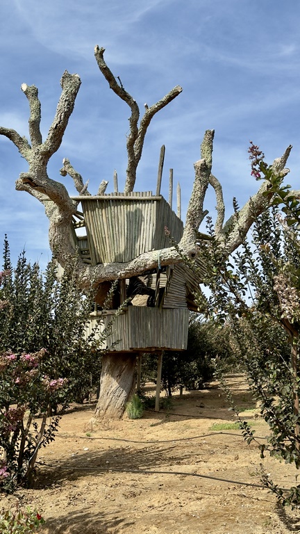 buddha eden (19) (Copiar)