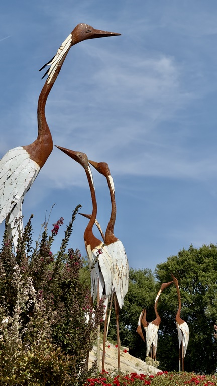 buddha eden (20) (Copiar)