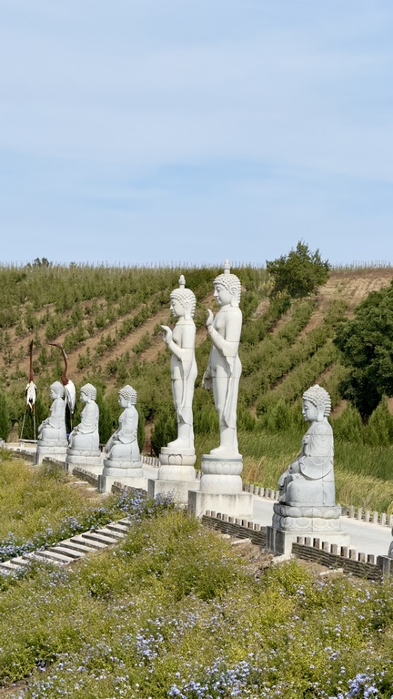 buddha eden (21) (Copiar)