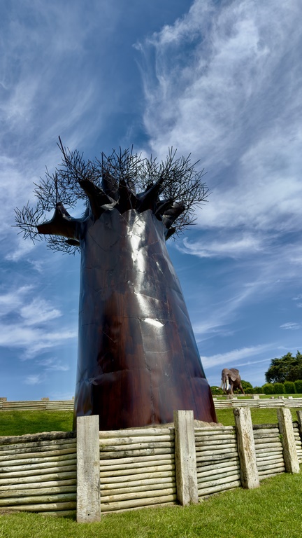 buddha eden (23) (Copiar)