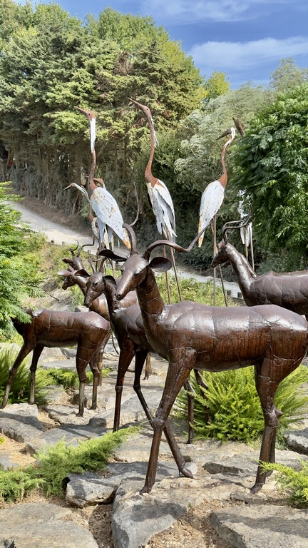 buddha eden (27) (Copiar)