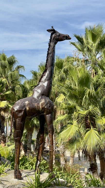 buddha eden (29) (Copiar)