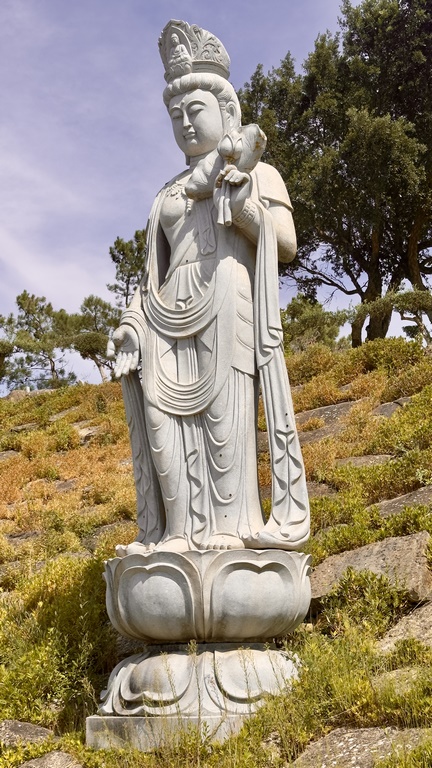 buddha eden (33) (Copiar)