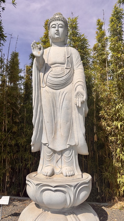 buddha eden (36) (Copiar)