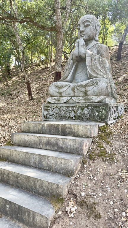 buddha eden (42) (Copiar)