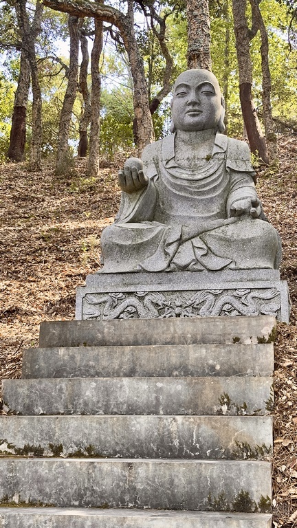 buddha eden (43) (Copiar)