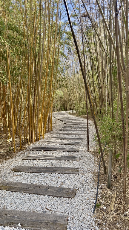 buddha eden (47) (Copiar)