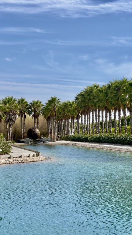 buddha eden (49) (Copiar)