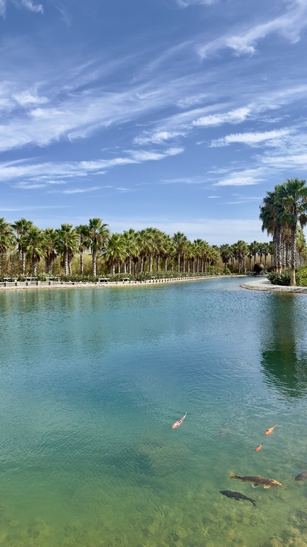 buddha eden (50) (Copiar)